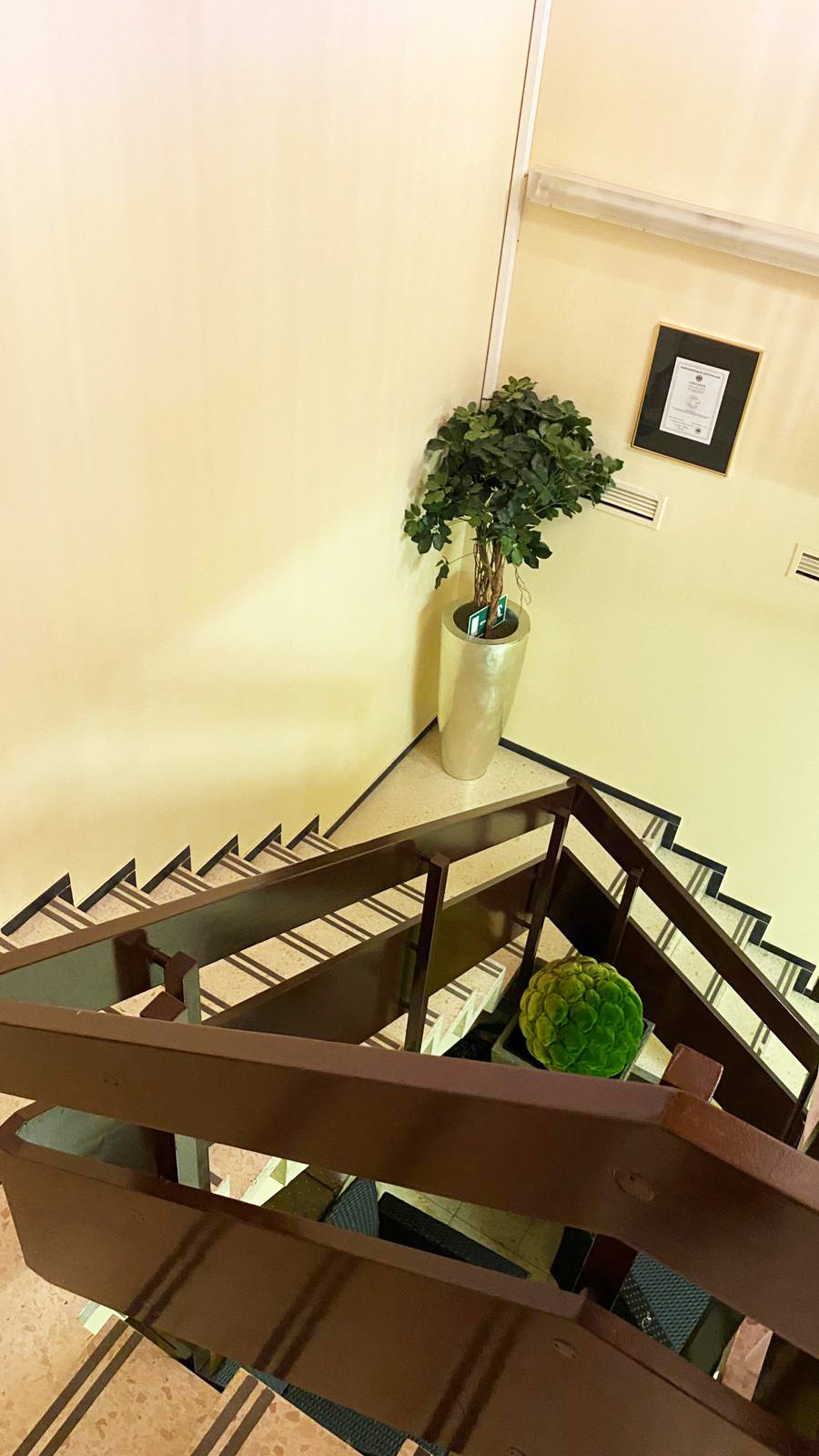 WhatsApp Image 2020 03 29 at 14.27.47